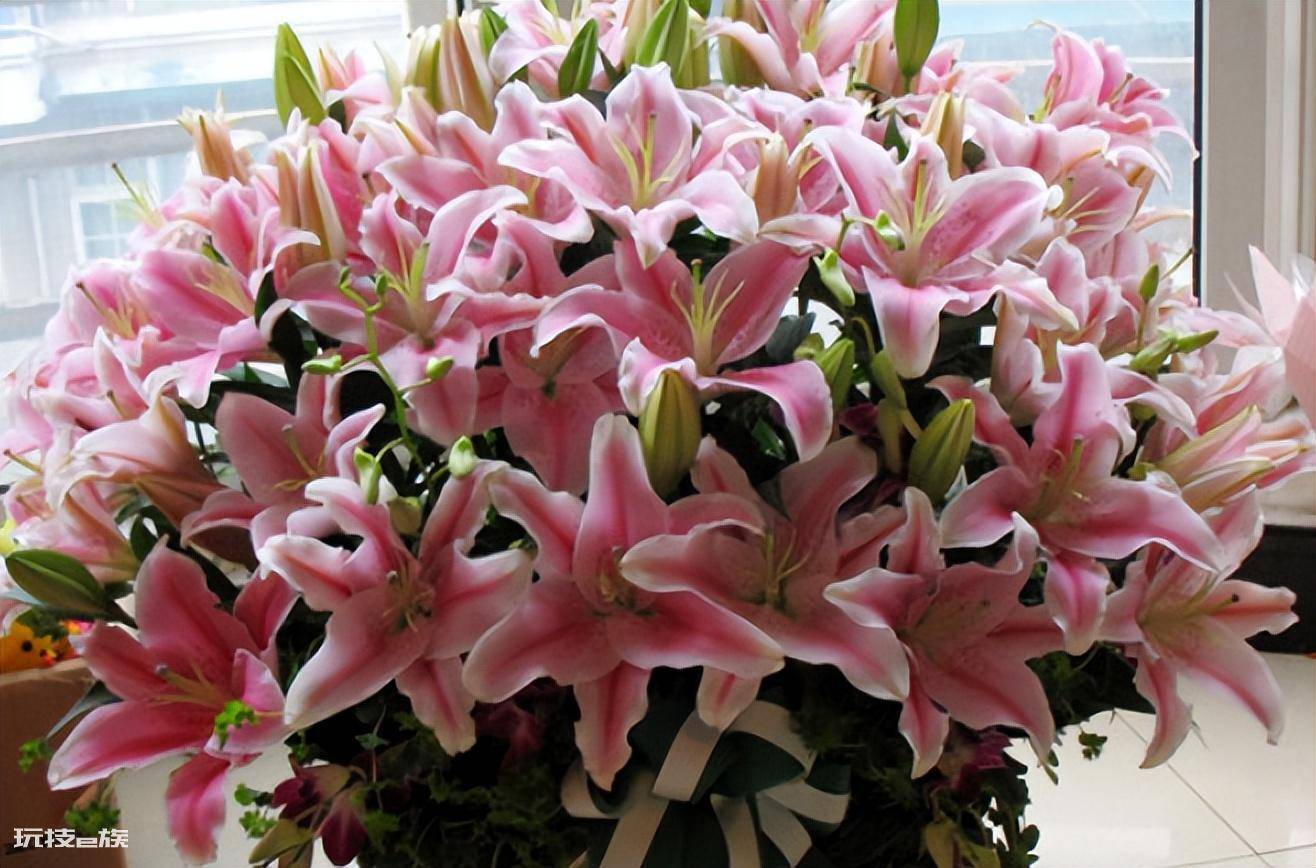 什么花最香持久还好养(室内养这8种花卉花香四溢)-图片3